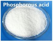 CAS aucune OIN solide cristalline 9001 CHINE de poudre de granule de l'acide 13598 36 2 phosphoreux